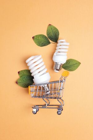 Shopping trolley with energy saving lightbulb. Saving energy concept.の写真素材