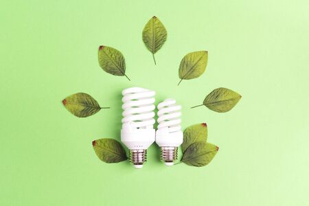 Energy saving lightbulb with green leaves. Save energy concept. Flat lay, top view.の写真素材