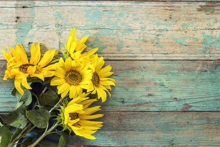 Background with a bouquet of yellow sunflowers on old wooden boards with peeling paint. Space for text.の写真素材