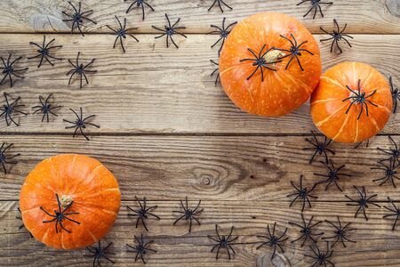 Many black spiders and small pumpkins on the old wooden boards. Background for Halloween. Space for text.の写真素材