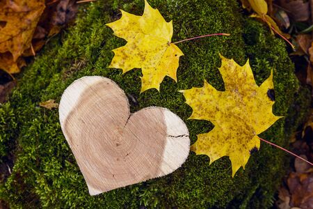 Carved wooden heart on a stump with fallen maple leaves in autumn forest.の写真素材