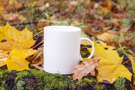 White coffee mug on a stump with fallen leaves in autumn forest. Space for text or design.の写真素材