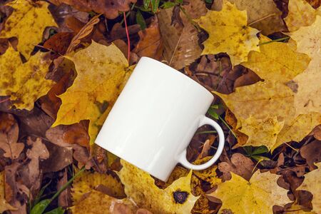 White coffee mug on the background of the fallen yellow leaves. Space for text or design.の写真素材