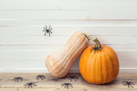 Two pumpkins with decorative spider on a wooden table on a background of white boards. Background for Halloween. Space for text.の写真素材