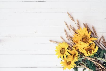 Background with a bouquet of yellow sunflowers and wheat ears on a white painted wooden boards. Space for text.の写真素材
