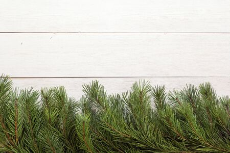 Christmas pine tree branches on white wooden board. Space for text. Top view.の写真素材