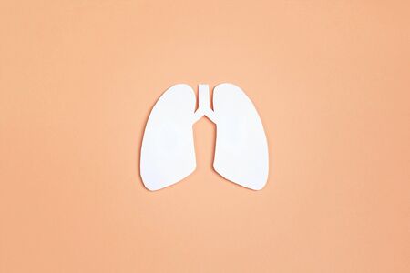 Lungs symbol on yellow background. World Tuberculosis Day. Healthcare, medicine, hospital,  diagnostic, internal donor organ.の写真素材