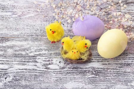 Easter decoration with colored eggs, chickens and flowers on a gray wooden table. Space for text.