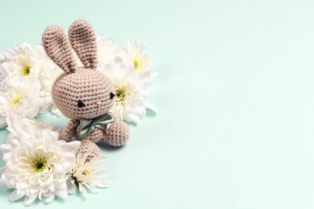 Cute toy bunny with chrysanthemum flowers and copy space on a blue background.の写真素材