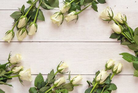 Fresh roses flowers on white painted wooden background. Place for text. Post card, greeting card mock up.の写真素材