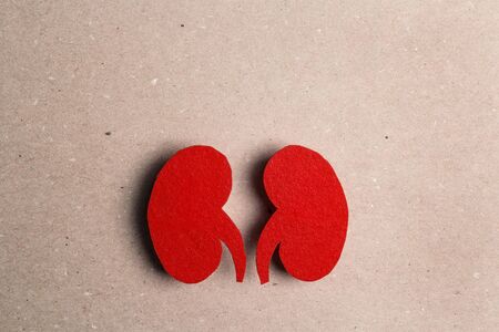 Red human kidney symbol on cardboard background. World Kidney Day. Kidney health concept. Flat lay, top view.の写真素材