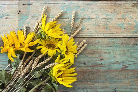 Background with a bouquet of yellow sunflowers and wheat ears on a blue painted wooden boards. Space for text.の写真素材