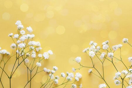 The border of delicate little white flowers on yellow background from above. Flat lay style. Space...