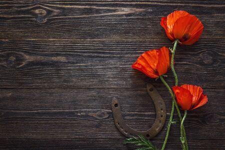 Red poppies flowers with rusty horseshoe on dark wood background. Top view with copy space.の写真素材