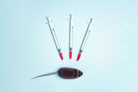 Laboratory mouse and several syringes on a blue background. The concept of testing and research on new drugs in animals. World Day for Laboratory Animals, 24 april.の写真素材