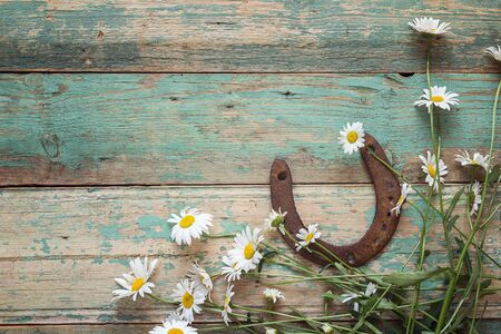 Rustic background with rusty horseshoe and daisies on old wooden boards. Copy space. Top view.の写真素材
