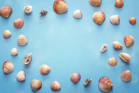 Background with frame of seashells on blue. Place for text. Top view with copy space.