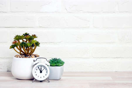 Houseplants in flowerpots and alarm clock on a table near white brick wall. Copy space for text.