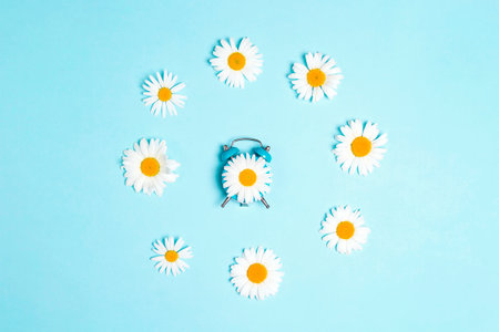 Blue alarm clock with chamomile flowers on a blue background. Flat lay, top view.の写真素材