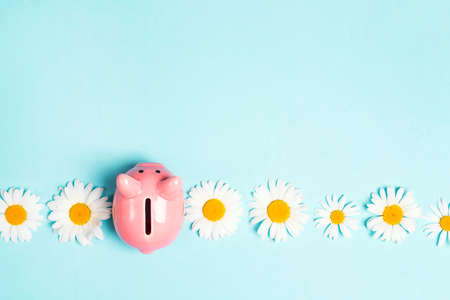 Pink piggy bank with chamomile flowers on a blue background. Copy space for text. Save up money for the summer.の写真素材