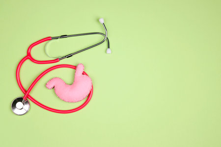 Human stomach model with stethoscope on green background. Treatment of stomach diseases. World Digestive Health Day. Copy space.の写真素材