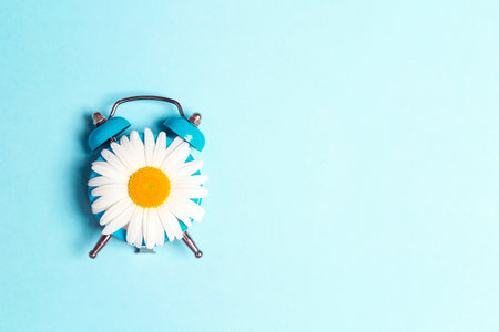 Blue alarm clock with chamomile flower on a blue background. Flat lay, top view with copy space.の写真素材