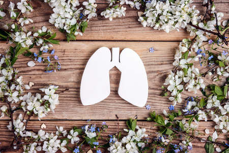 Lungs symbol with apple blossom branches on old wooden background. Healthcare, medicine, hospital, diagnostic, internal donor organ.の写真素材