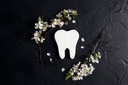Healthy tooth symbol with apple blossom branches on black background. Dental health, dentistry concept.の写真素材
