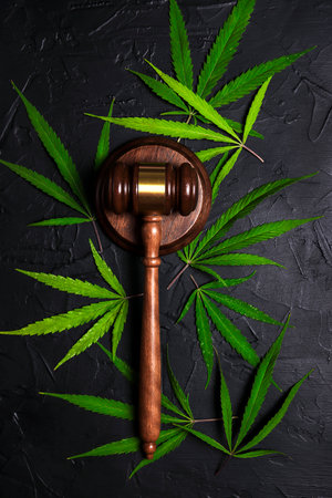 Marijuana leaves and a judge gavel. Concept of marijuana legalization. Medical cannabis. Vertical image.の写真素材