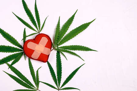 Heart with adhesive plaster and marijuana leaves on white background with copy space. Use of medical marijuana in cardiology.の写真素材