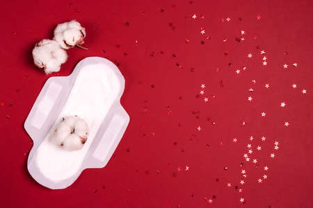 White sanitary pad with cotton flower on red background. Gynecological menstrual cycle. Flat lay with copy space.の写真素材