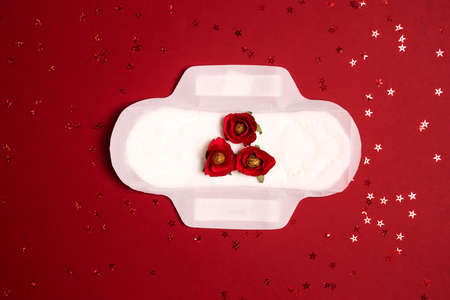 Sanitary pad with red flowers on it on red background. Gynecological menstrual cycle, body positive concept. Flat lay with copy space.の写真素材