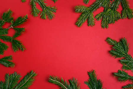 Festive frame of fir branches on red background. Top view with copy space.の写真素材