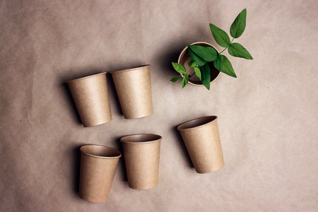 Set of eco-friendly coffee to go cups with green leaves on brown paper background. Recycled kraft paper packaging, environmentally friendly, disposable and zero waste concept.の素材 [FY310208858301]