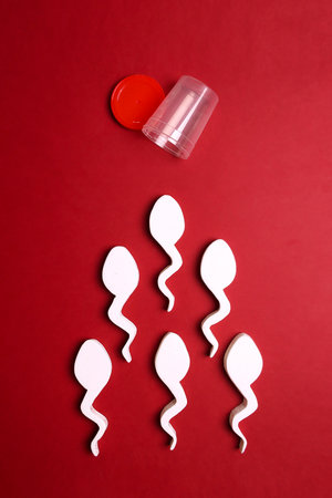 Spermatozoa and sperm sample plastic container on red background. Semen analysis, male fertility test, sperm bank and donation concept.の写真素材