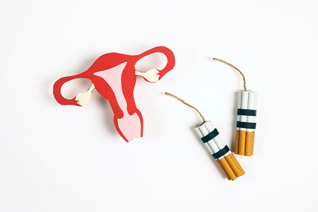 Uterus symbol with cigarette dynamite bombs on a white background. Women's health awareness concept.の写真素材