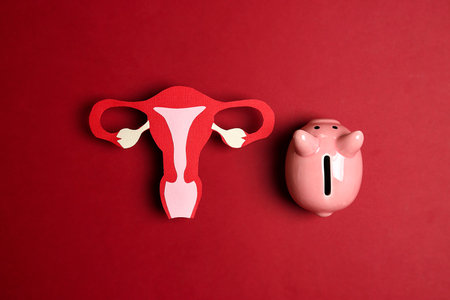Uterus symbol with piggy bank on red background. Investing in women's health care. Saving for feminine treatment concept.の写真素材