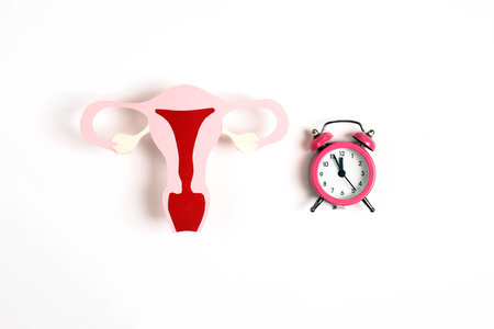 Uterus symbol with alarm clock on white background. Women's health, feminine age, menopause, climacteric, menstrual periods, fertility concept.の写真素材