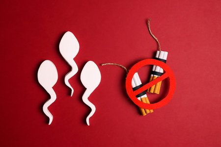Spermatozoa with cigarette dynamite bomb on a red background. The dangers of smoking for men's health.の写真素材