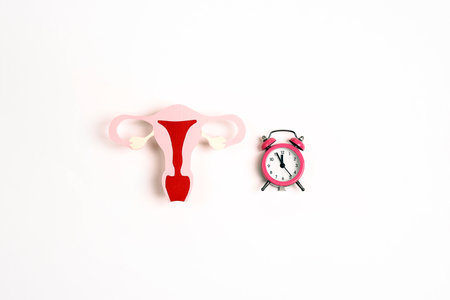 Uterus symbol with alarm clock on white background. Women's health, feminine age, menopause, climacteric, menstrual periods, fertility concept.の写真素材