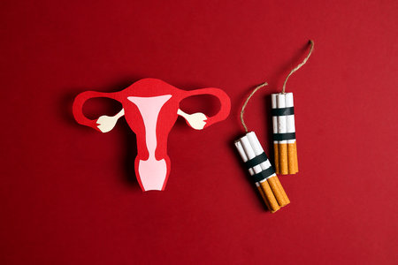 Uterus symbol with cigarette dynamite bombs on a red background. Women's health awareness concept.の写真素材