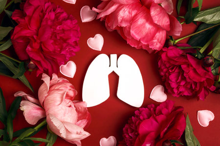 Lungs symbol with blossom peonies on red background. Health of the respiratory system. Prevention and treatment of lung diseases.の写真素材