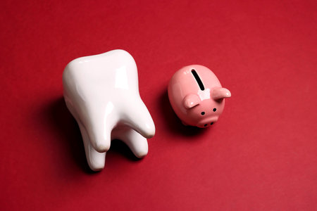 Pink piggy bank with tooth model on red background. Investing in dental health care. Expensive treatment. The concept of saving for dental treatment.の写真素材