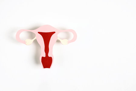 Women's health awareness concept. Uterus symbol on white background.の写真素材