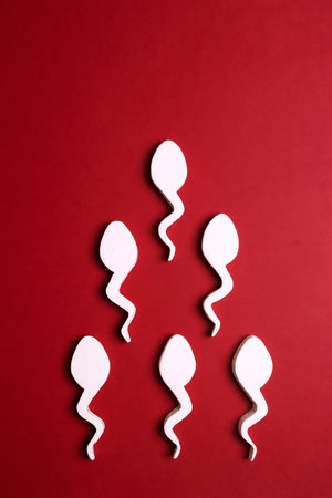 Sperm cells on red background. Health and medicine concept.の写真素材