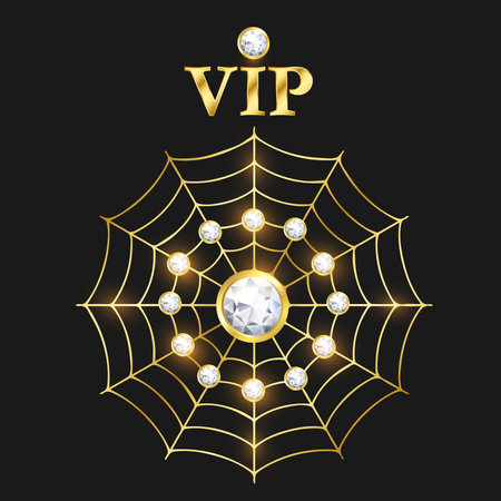 VIP design spiderwebの写真素材