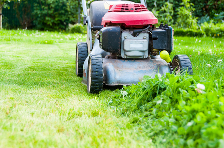 Lawn mowing in gardenの写真素材