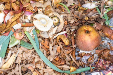 Composting the Kitchen Wasteの写真素材