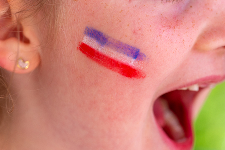 Young supporter of the France teamの写真素材