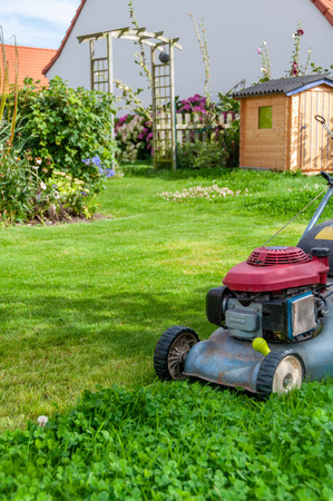 mowing the lawn in my gardenの写真素材